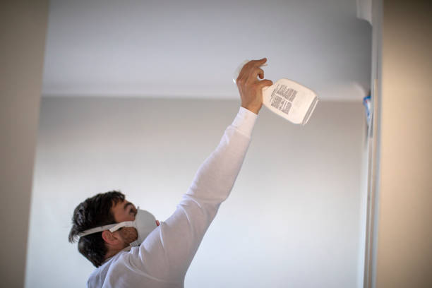 Best Localized Mold Remediation (e.g., coastal areas, humid climates) in Seymour, TX