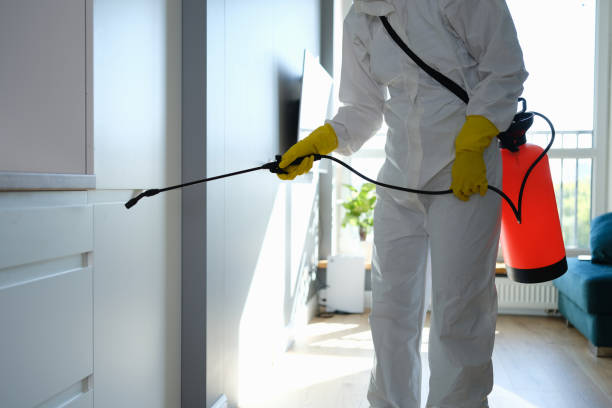 Best Post-Remediation Services in Seymour, TX